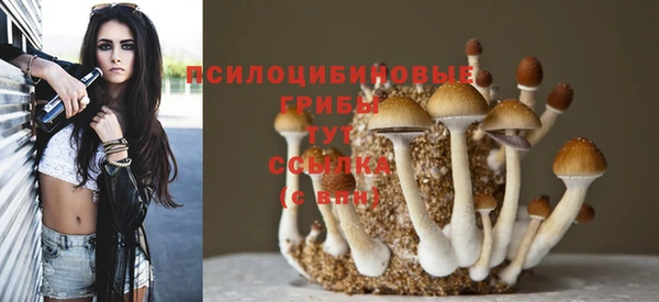 хмурый Алексеевка