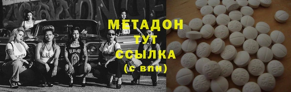 индика Алзамай