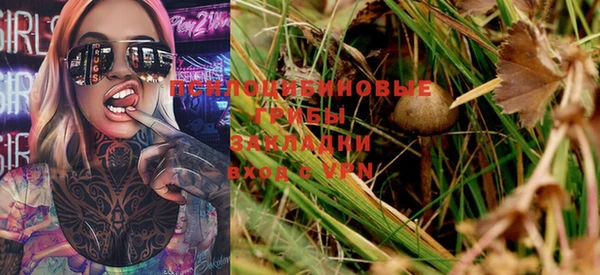 твердый Алексин