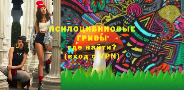 индика Алзамай