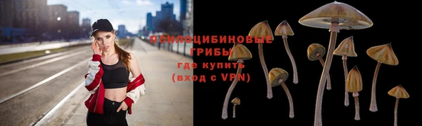 хмурый Алексеевка