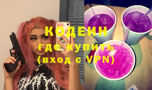индика Алзамай