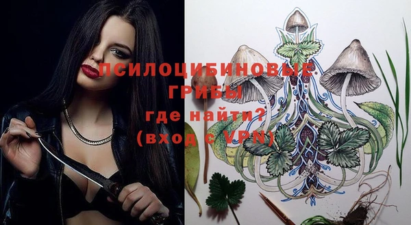 индика Алзамай