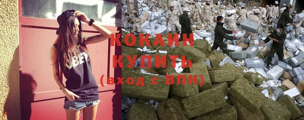 индика Алзамай