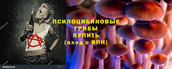 хмурый Алексеевка